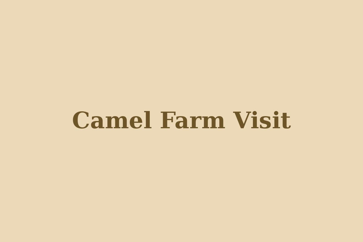 Desert Safari by 4x4 Sharing — Advance Booking