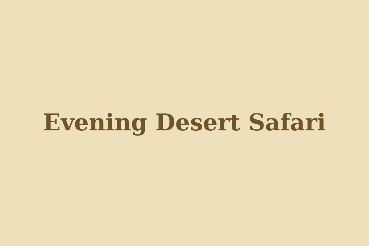 Our desert safari fleet at sunset